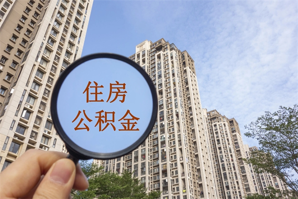 东海全国住房公积金缴纳人数（东海2020公积金人数）